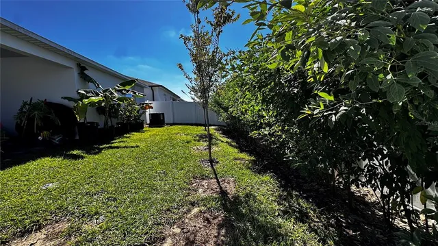 a view of a garden with plants