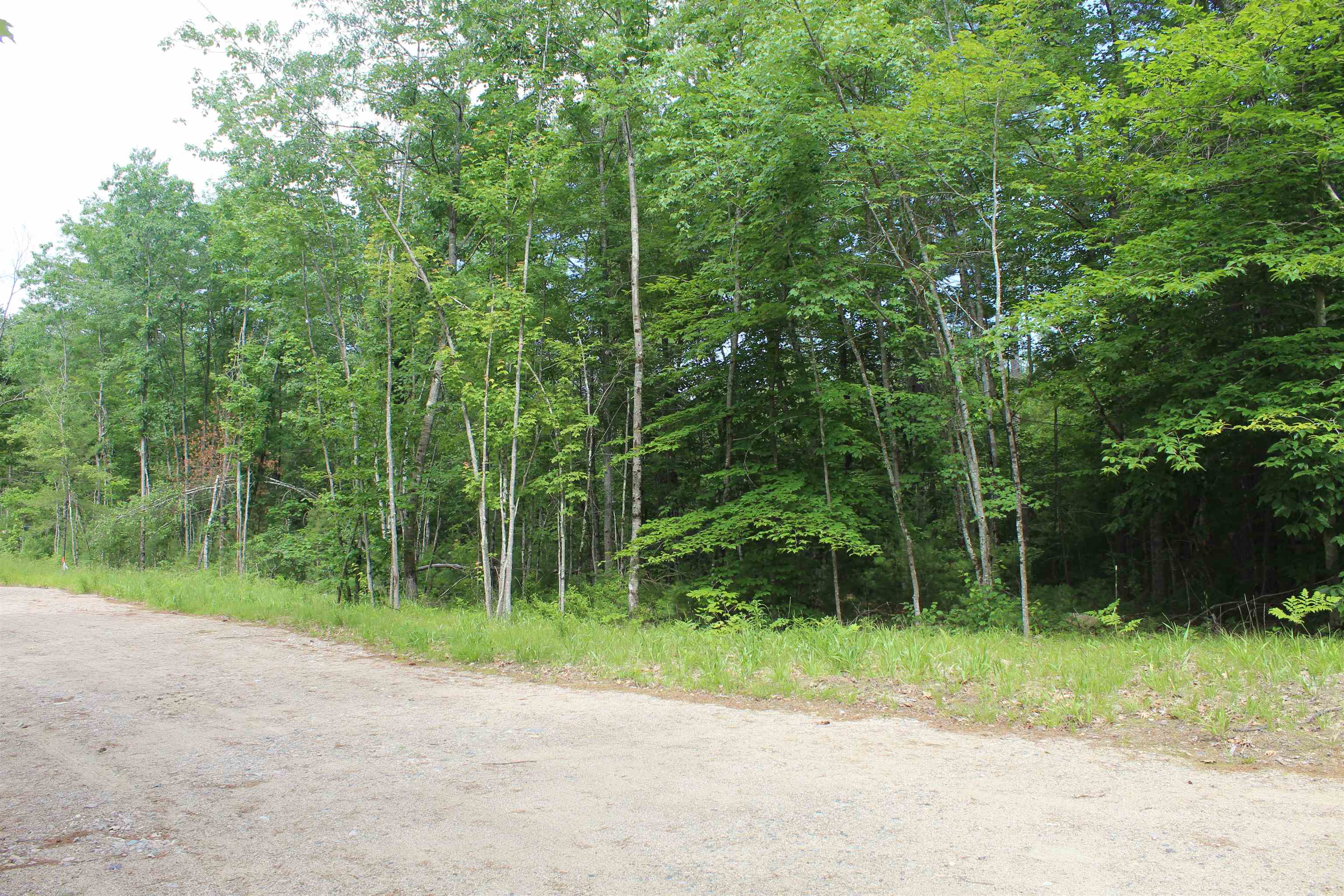 Lot 11 Squire Lane, Unit 11 Center Ossipee, NH 03814 - Photo 3 of 15