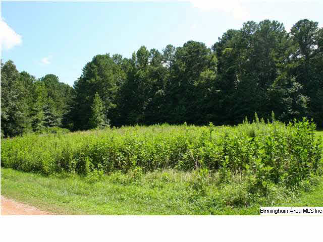 8450 Rocky Br Road, Unit 1 45 AC Gardendale, AL 35071 - Photo 3 of 7