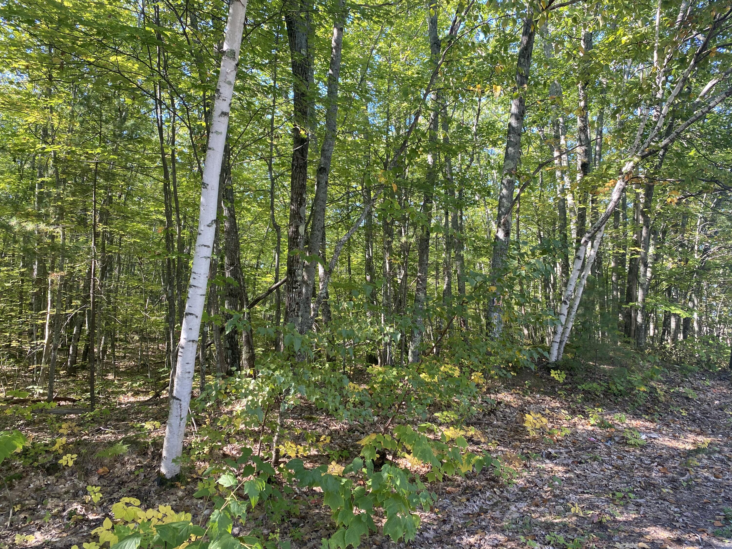 0 West Shore Road East Waterboro, ME 04030 - Photo 9 of 16 807F29FB-7C3D-496C-BB09-0CECC0FC8900