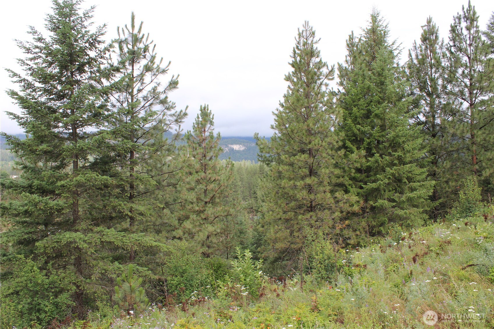 2514 Bridgeman-Rettinger Road Kettle Falls, WA 99141 - Photo 3 of 37 Gallery Image 3