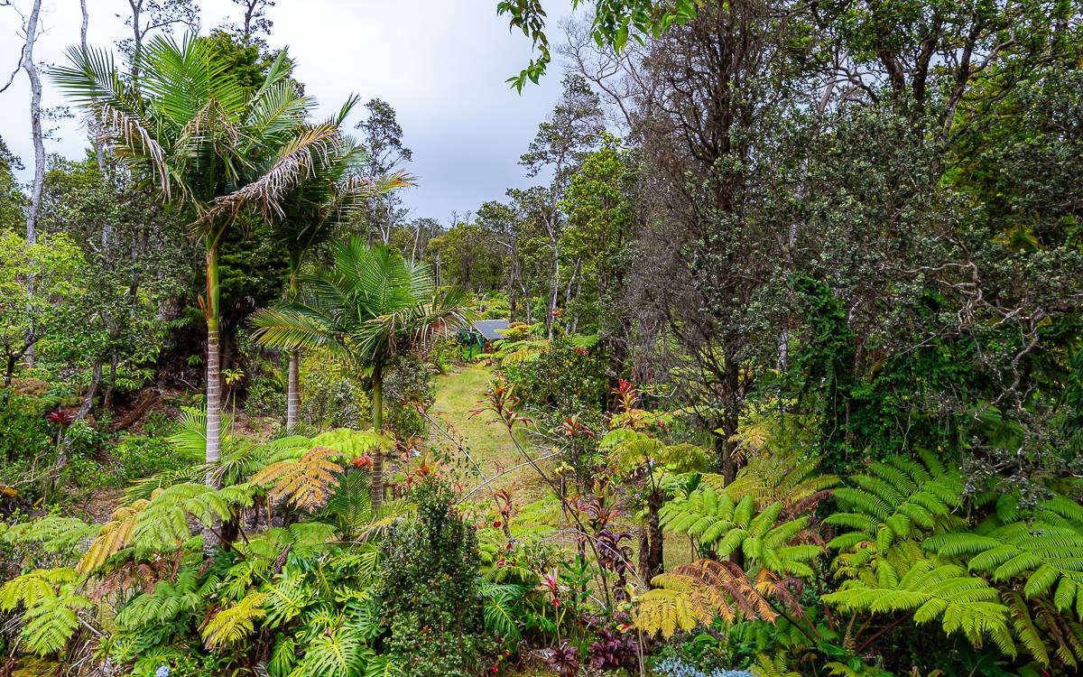 11-3307 Hoolehua Road Volcano, HI 96785 - Photo 21 of 21 Gallery Image 21