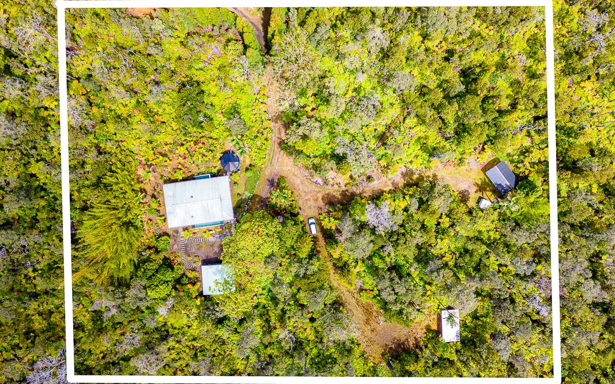 11-3307 Hoolehua Road Volcano, HI 96785 - Photo 4 of 21 Gallery Image 4
