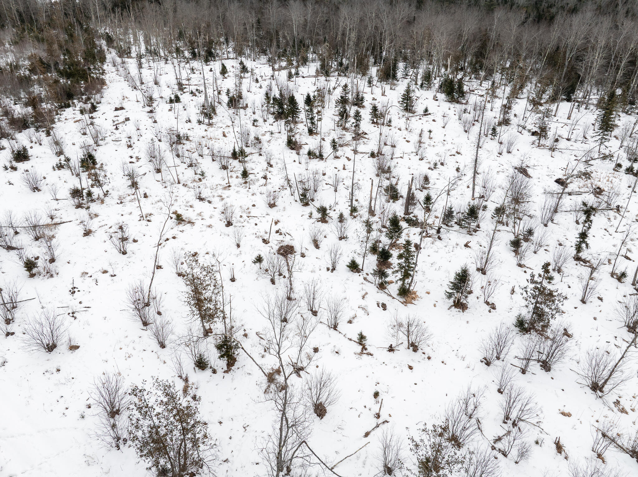 2541 Union (00 Union) Street Hermon, ME 04401 - Photo 17 of 19 Hermon 2048-15