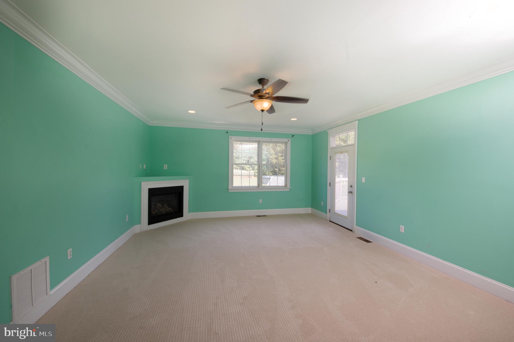 10311 Clarence Barnes Road Princess Anne, MD 21853 - Photo 19 of 44 Master Bedroom with fireplace