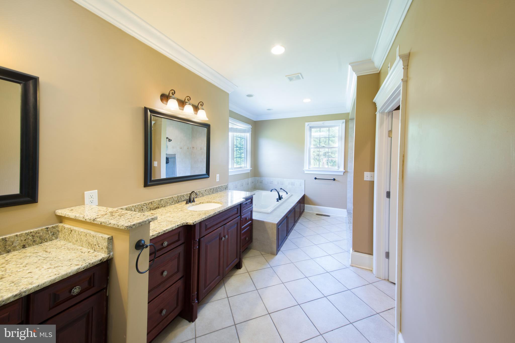 10311 Clarence Barnes Road Princess Anne, MD 21853 - Photo 21 of 44 Master Bathroom