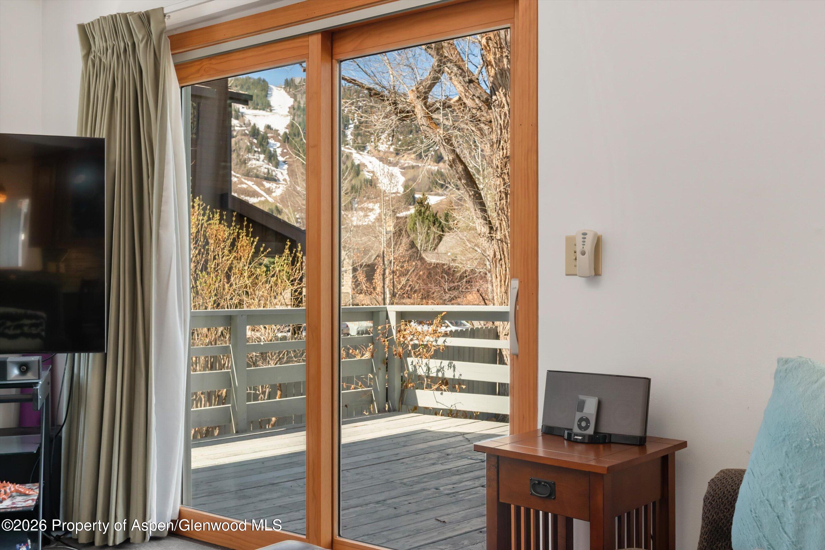 53 Spruce Street, Unit S 1 AND 2 Aspen, CO 81611 - Photo 5 of 67 04-04-534SpruceSt_250429004