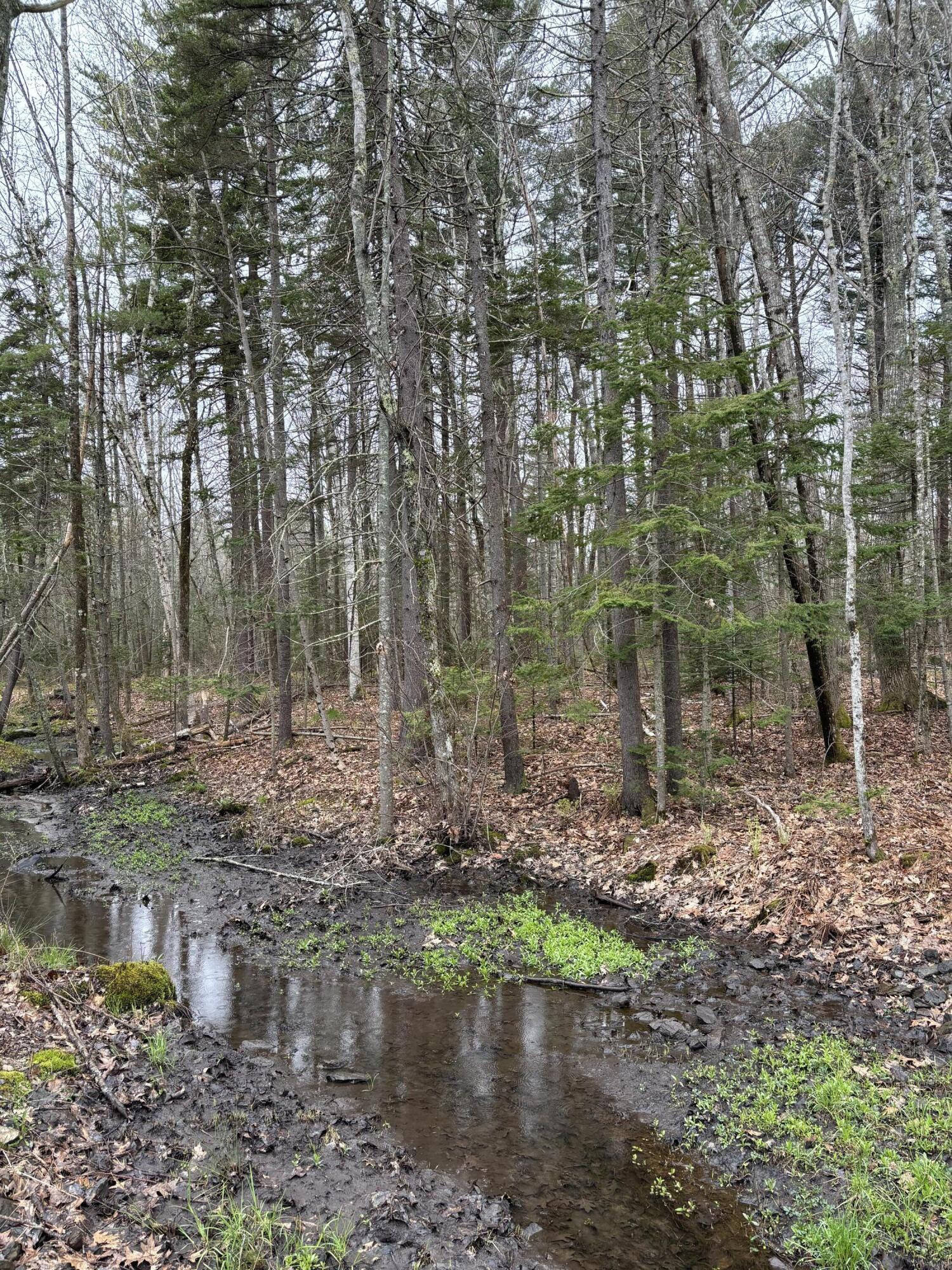 Lot 19 Roxmont Road Rockport, ME 04856 - Photo 22 of 27 IMG_0956