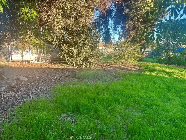 a view of yard with green space