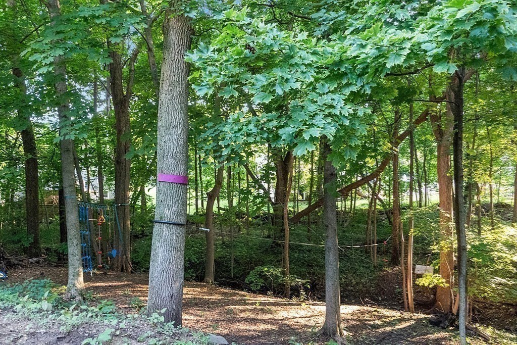 4 Olde Berry Road Andover, MA 01810 - Photo 23 of 23 Gallery Image 23