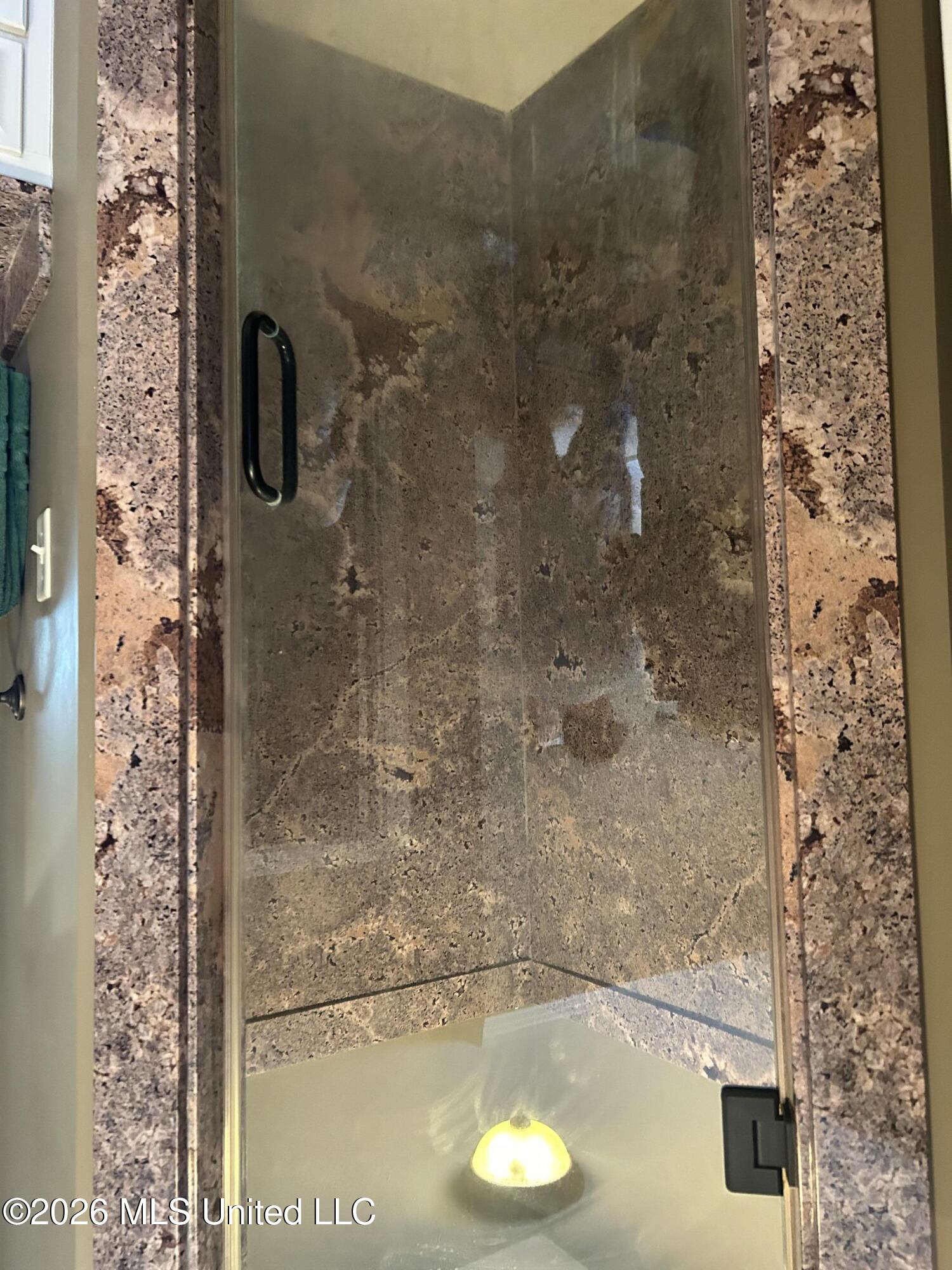 219 Madison Ridge Road Vicksburg, MS 39180 - Photo 24 of 37 219 Madison Ridge shower