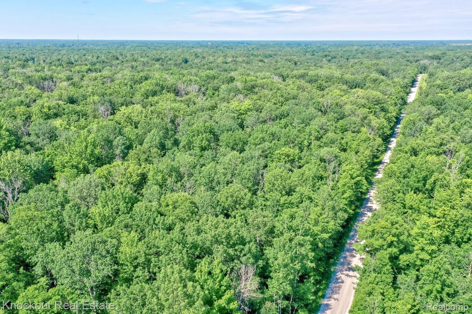 1000 West Kitchen Road Rhodes, MI 48652 - Photo 6 of 34 Kitchen Lots Bay County-3.jpg