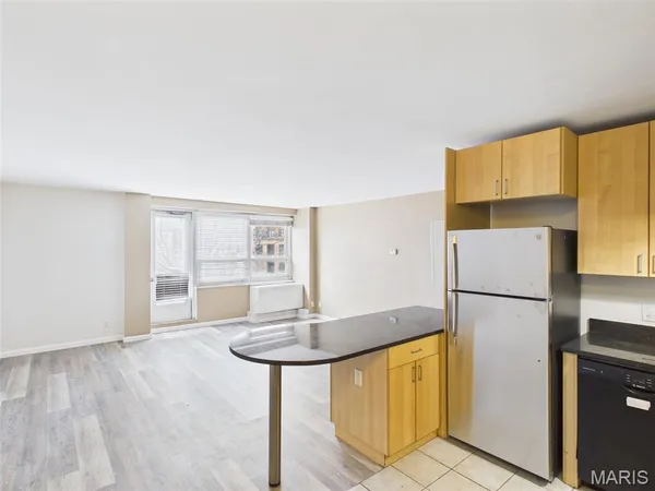 $1,100 | 210 North 17th Street, Unit 201, St. Louis, MO 63103