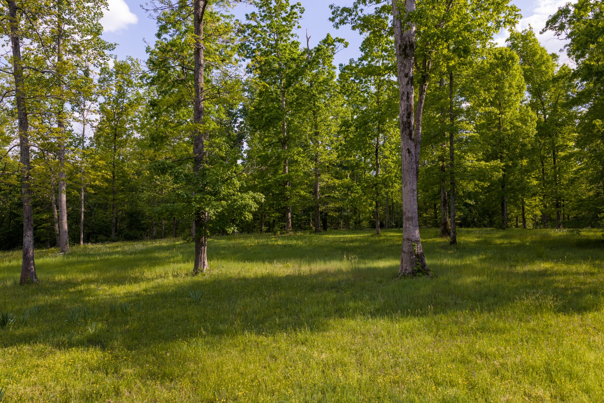 6415 Pinewood Road Nunnelly, TN 37137 - Photo 12 of 94