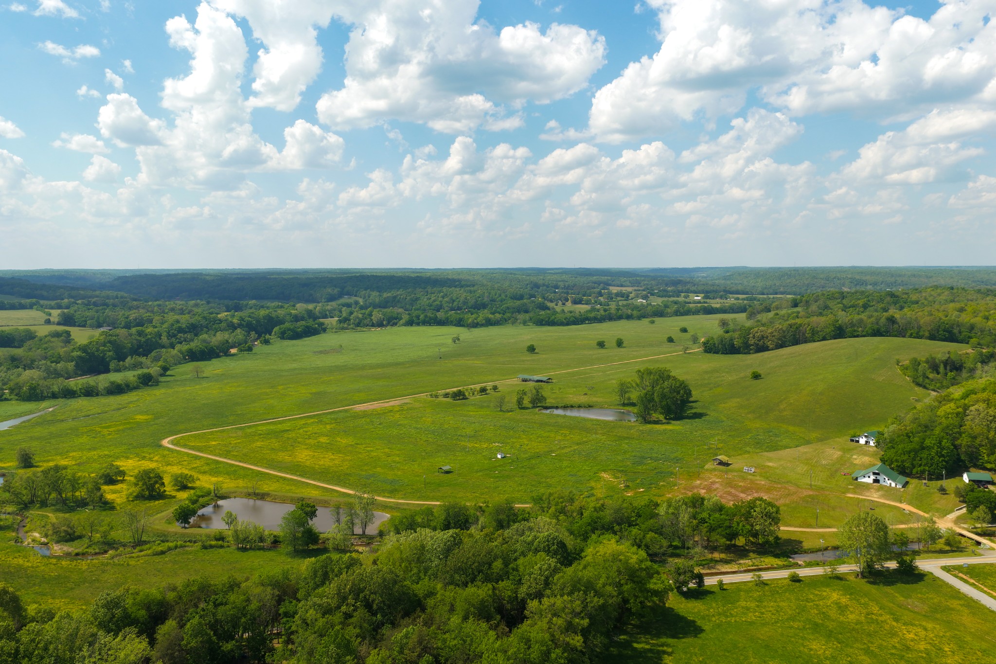 6415 Pinewood Road Nunnelly, TN 37137 - Photo 3 of 94