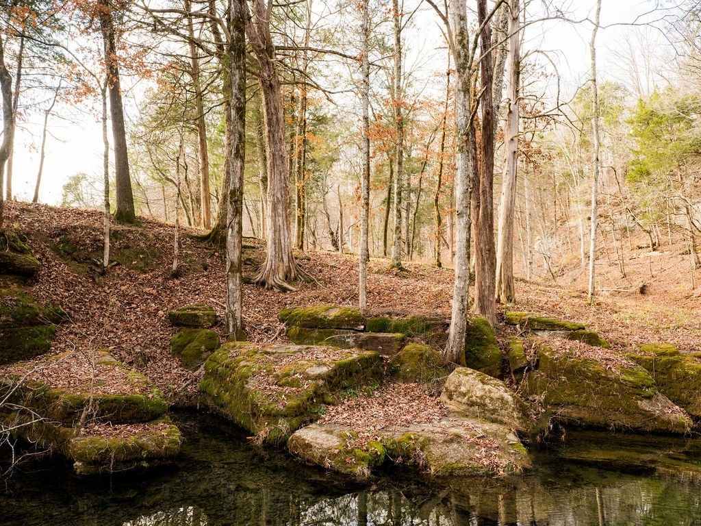 6415 Pinewood Road Nunnelly, TN 37137 - Photo 65 of 94 a view of a backyard of the house