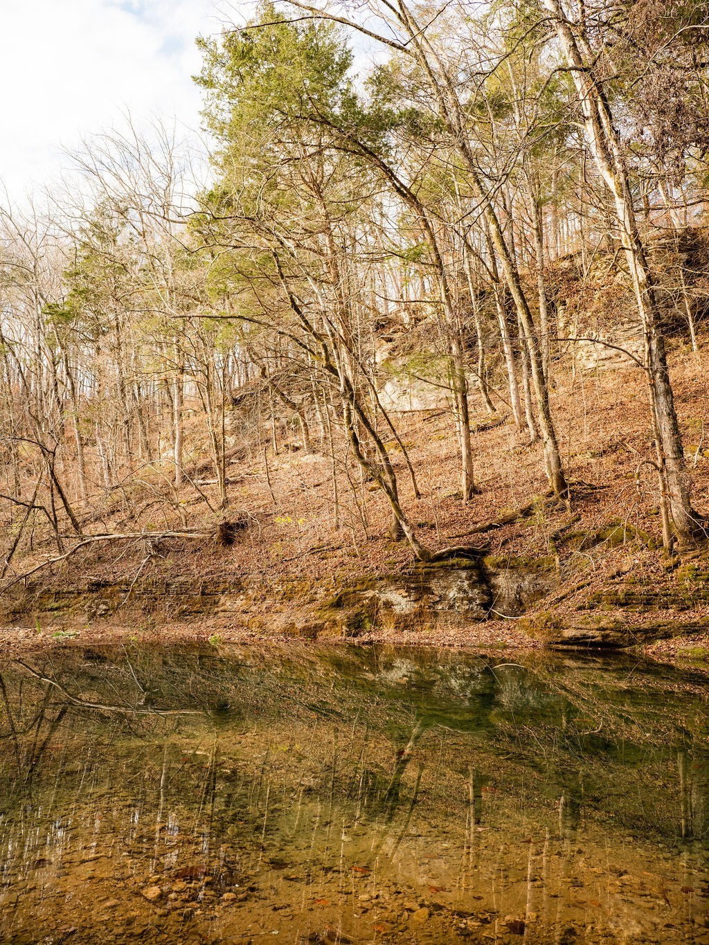 6415 Pinewood Road Nunnelly, TN 37137 - Photo 66 of 94