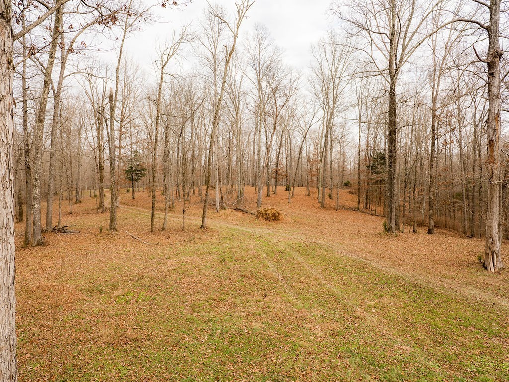 6415 Pinewood Road Nunnelly, TN 37137 - Photo 72 of 94 a view of yard with trees