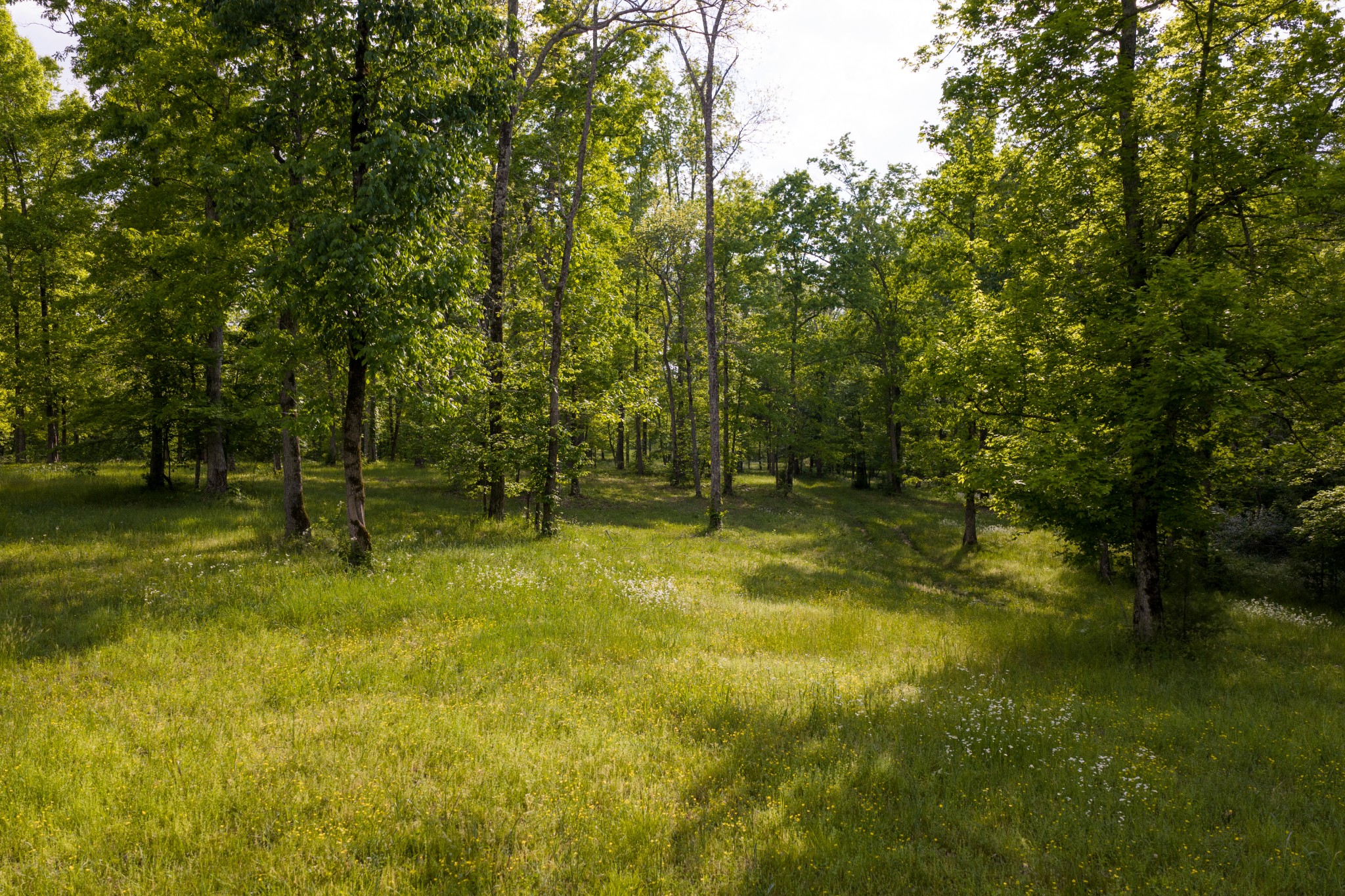 6415 Pinewood Road Nunnelly, TN 37137 - Photo 84 of 94