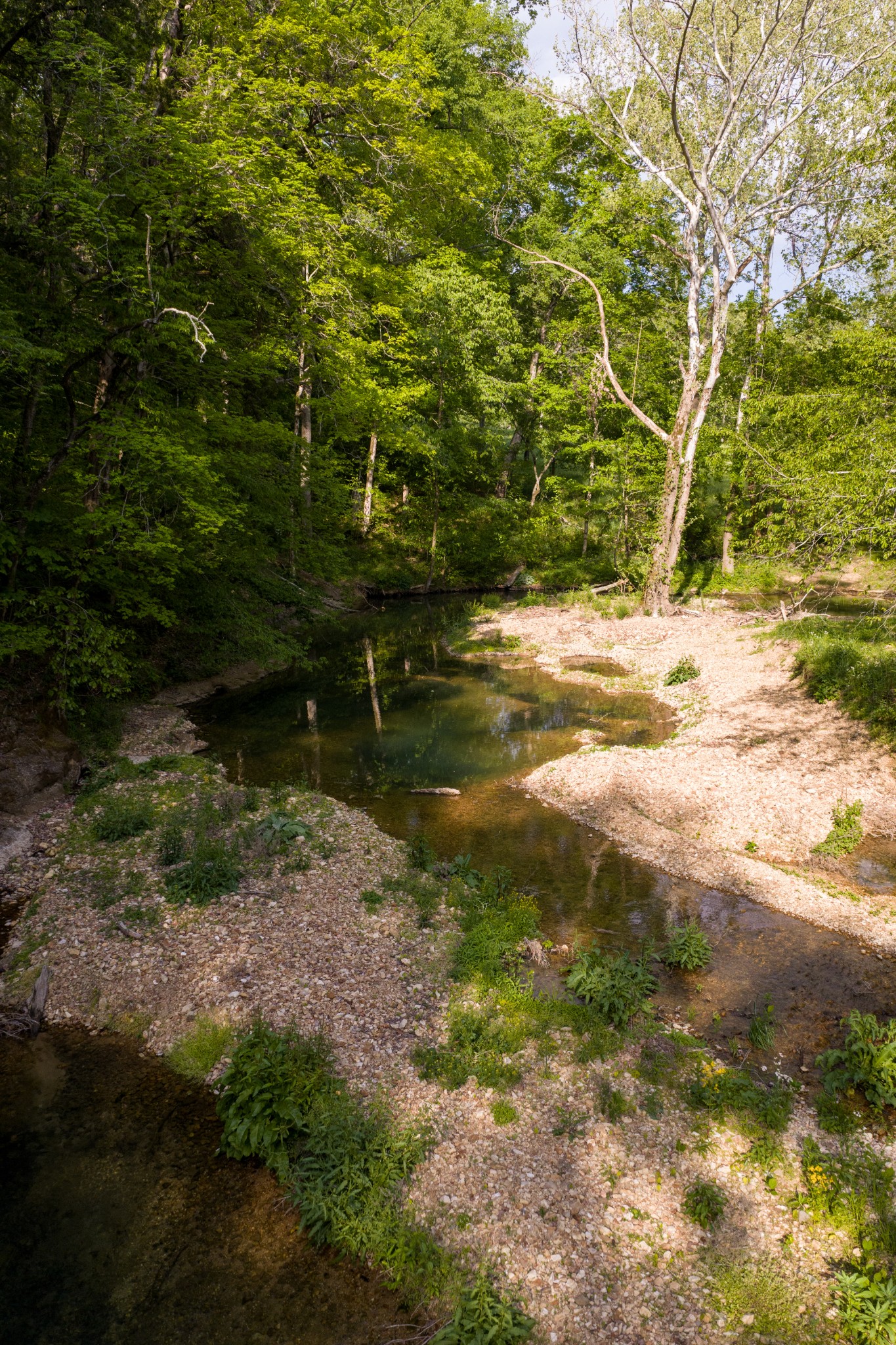 6415 Pinewood Road Nunnelly, TN 37137 - Photo 86 of 94