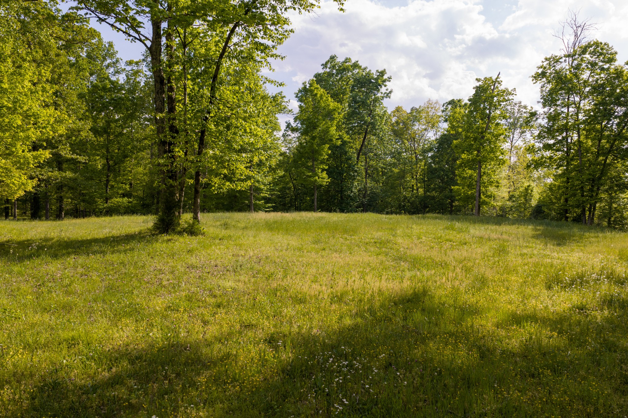 6415 Pinewood Road Nunnelly, TN 37137 - Photo 88 of 94