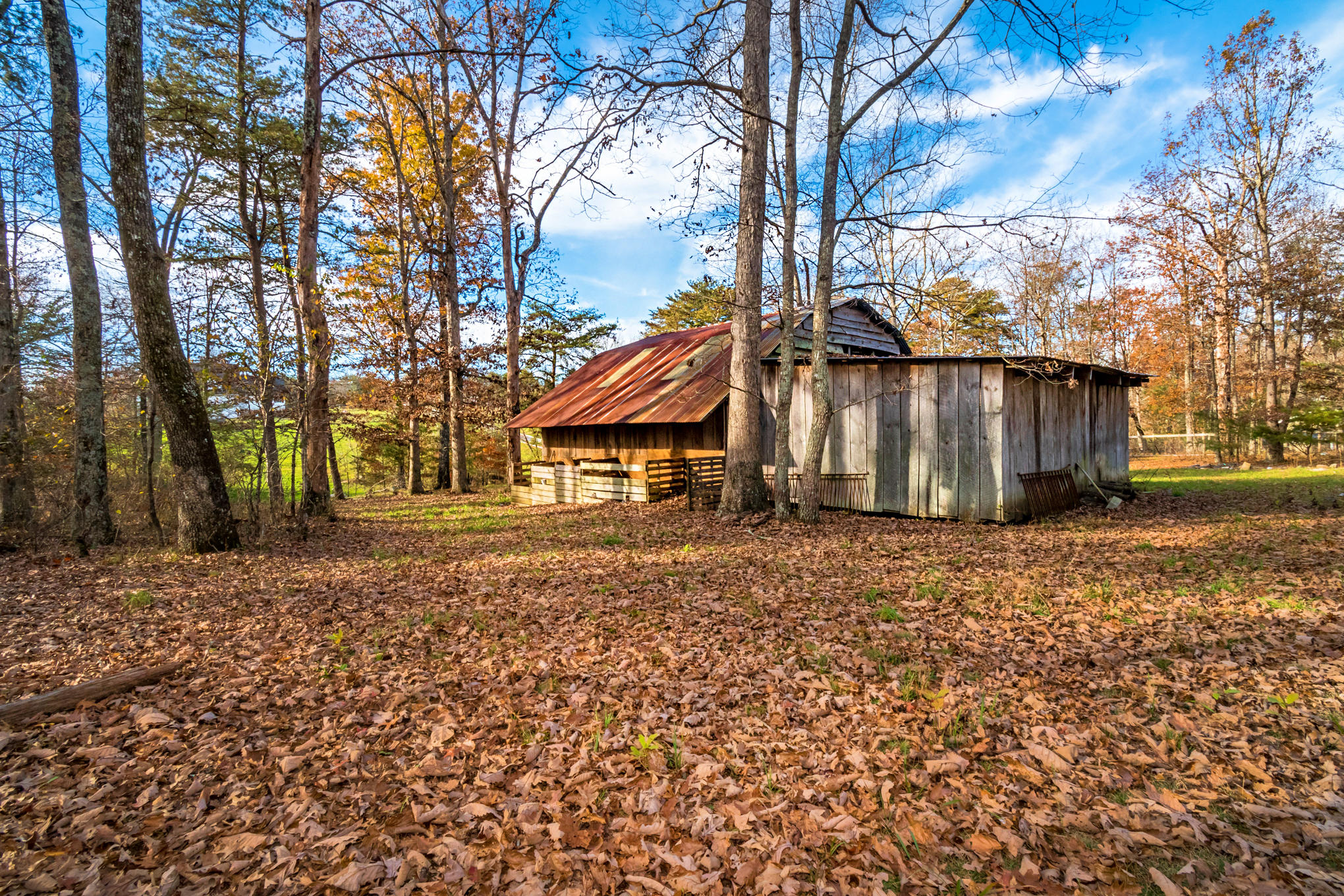 10531 Highway 157 Rising Fawn, GA 30738 - Photo 50 of 55 _DSC1199