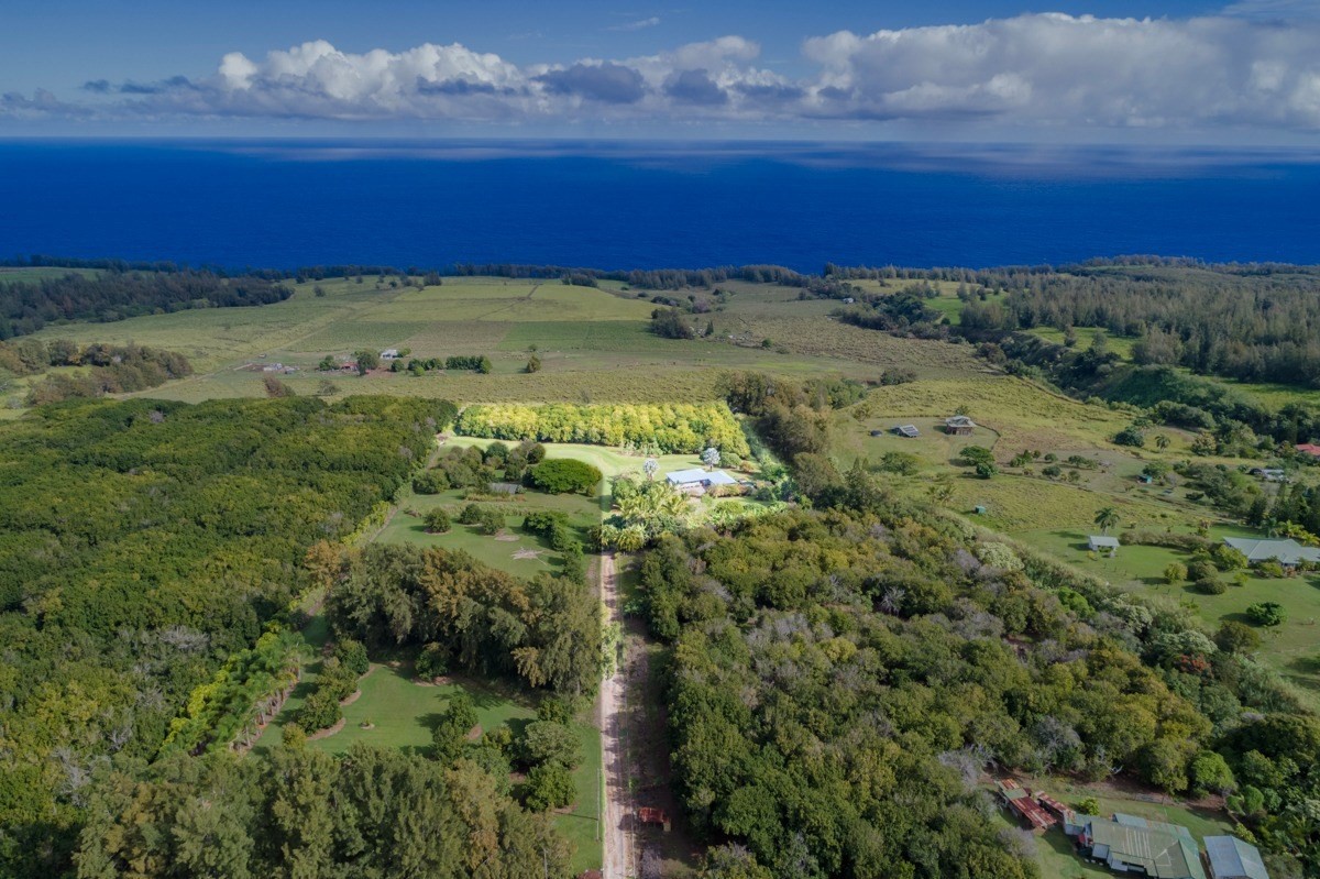 44-2262 Middle Road Honokaa, HI 96727 - Photo 8 of 30 Gallery Image 8