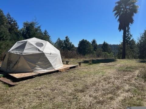 7227 Fern Flat Road Aptos, CA 95003 - Photo 8 of 8 a view of a backyard
