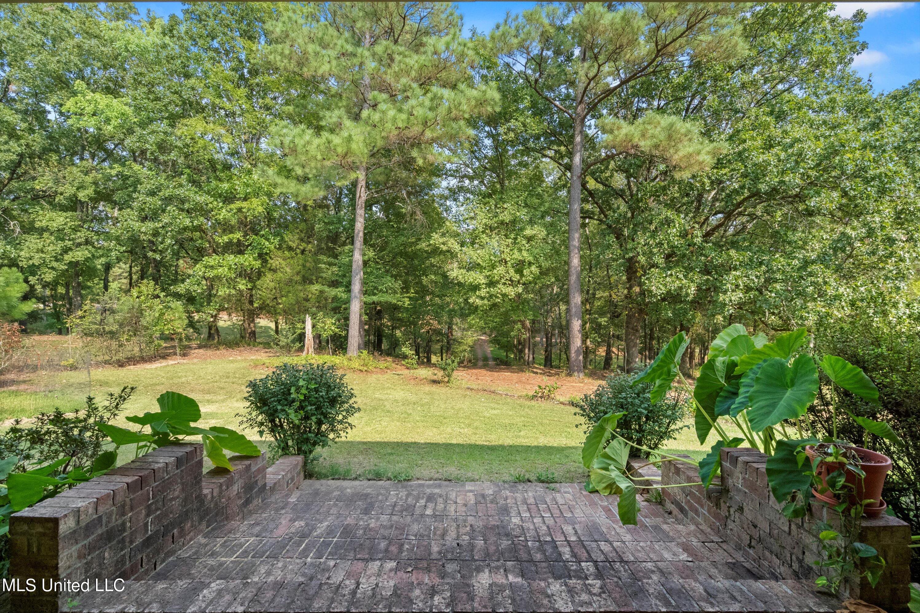 1717 Ross Road Olive Branch, MS 38654 - Photo 5 of 31 05-DSC2370