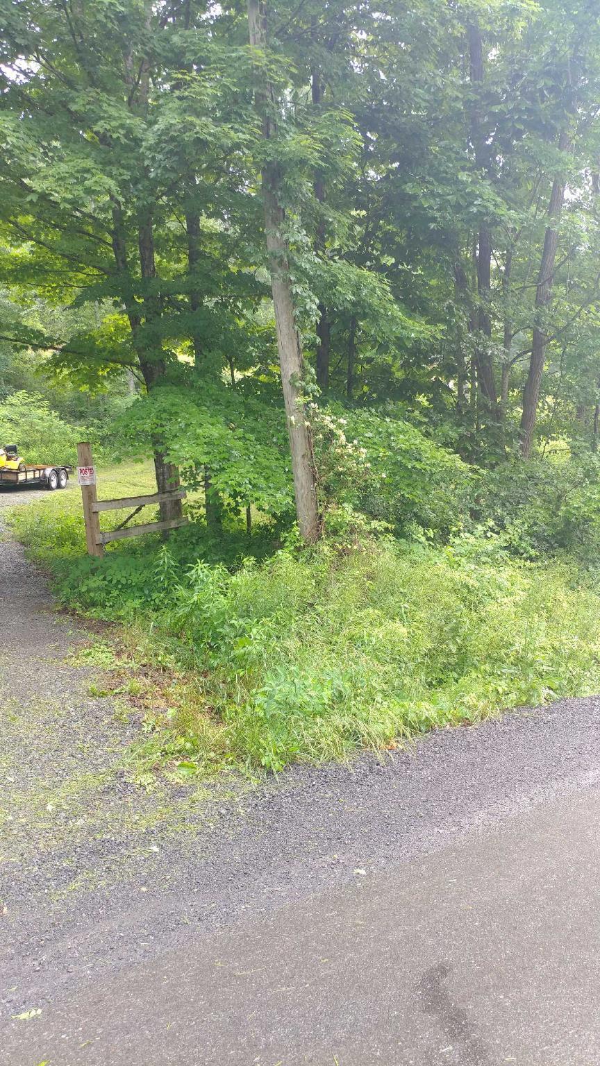 62-1 Hoke's Mill Road Ronceverte, WV 24970 - Photo 2 of 18 Gallery Image 2