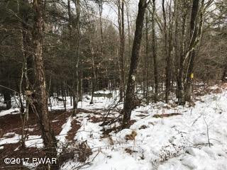 Davis Road Beach Lake, PA 18405 - Photo 15 of 22