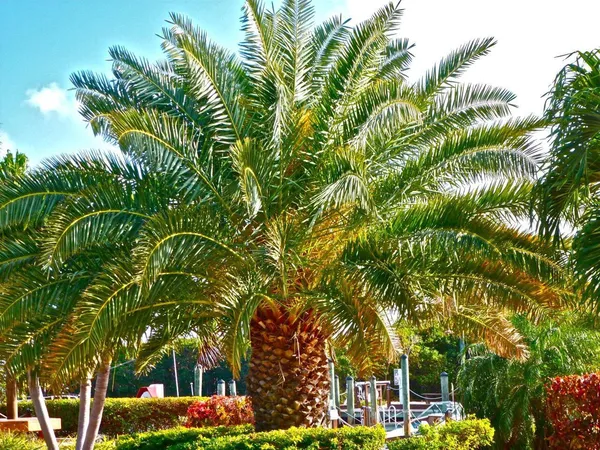 $719,000 | 500 Burton Drive, Unit 3406, Tavernier, FL 33070