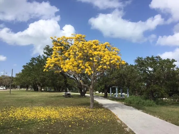 $719,000 | 500 Burton Drive, Unit 3406, Tavernier, FL 33070