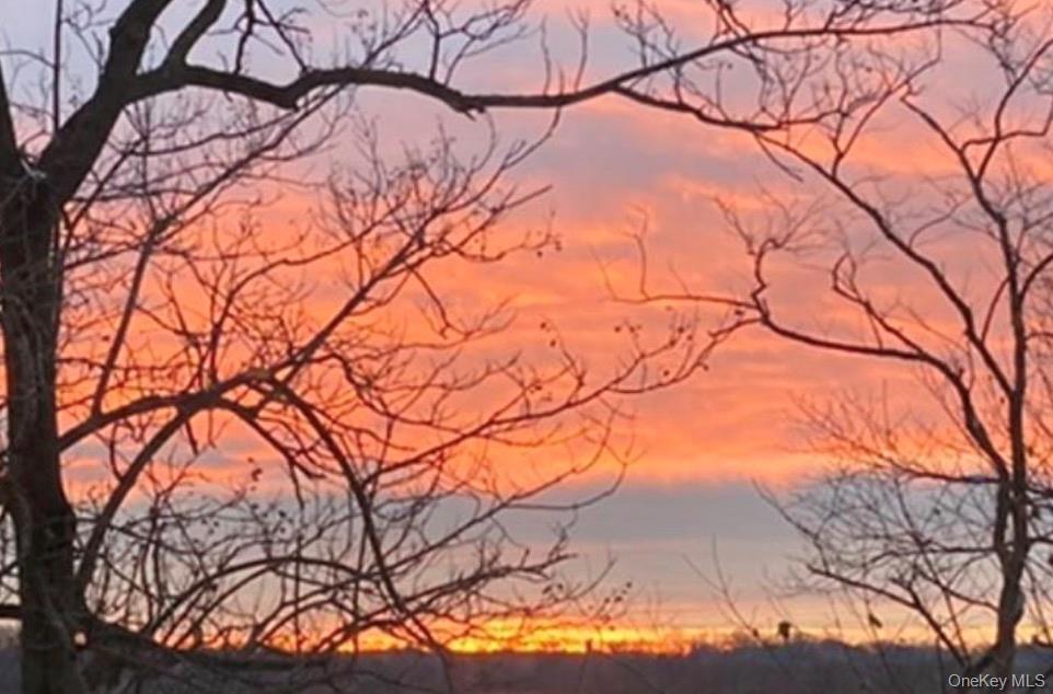 5500 Fieldston Road, Unit 3DD Bronx, NY 10471 - Photo 19 of 24 a backyard of a house with lots of green space
