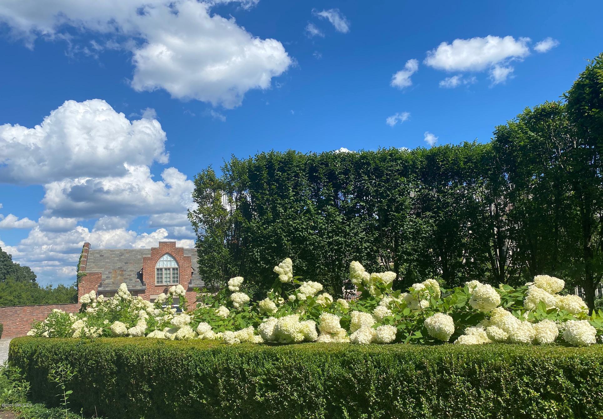 460 North Street Greenwich, CT 06830 - Photo 18 of 25 a view of a flower