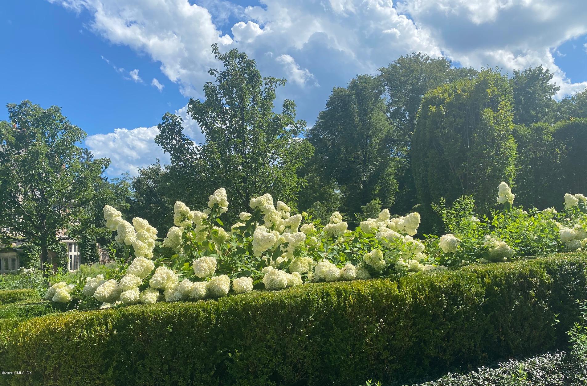 460 North Street Greenwich, CT 06830 - Photo 25 of 25 a view of a bunch of flowers in a garden