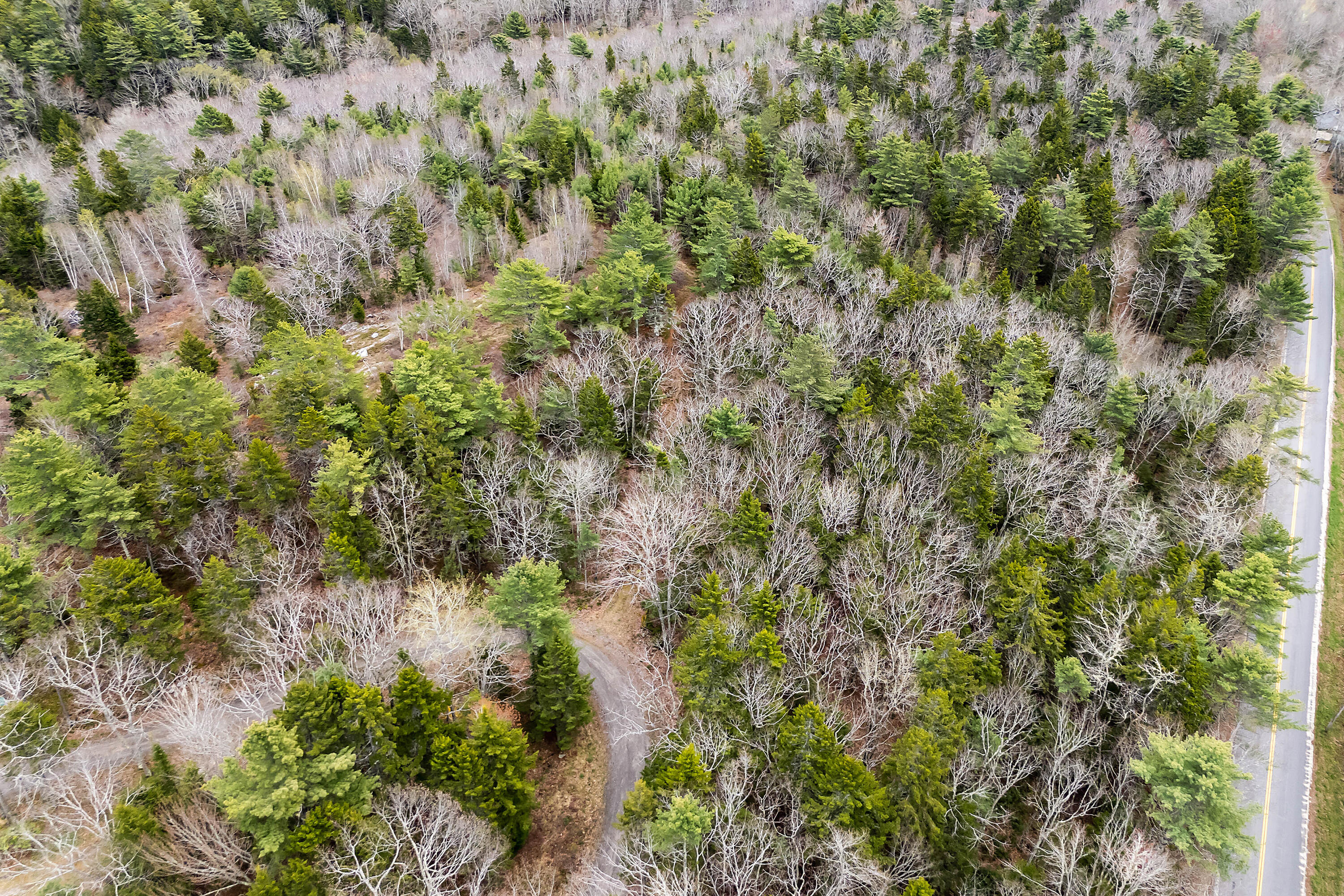 15 Abenaki Road Phippsburg, ME 04562 - Photo 8 of 33 15 Abenaki Rd_104