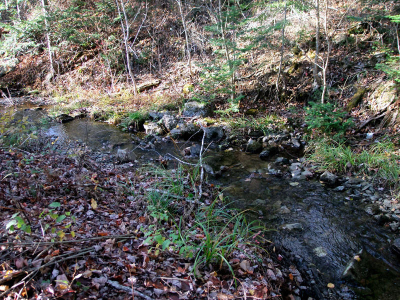 353 South Hemore Road Houlton, ME 04730 - Photo 8 of 35 lansingjones-ext6