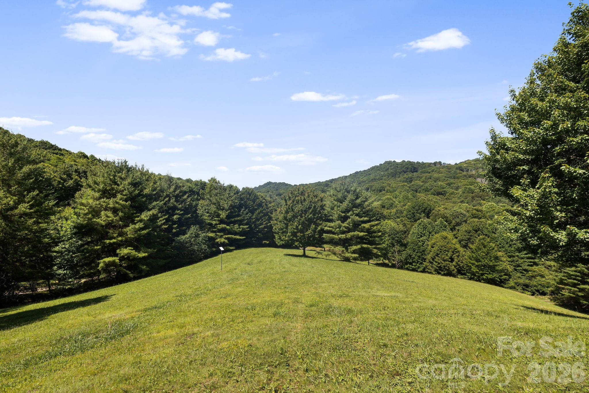 299 Basswood Road Hot Springs, NC 28743 - Photo 38 of 47