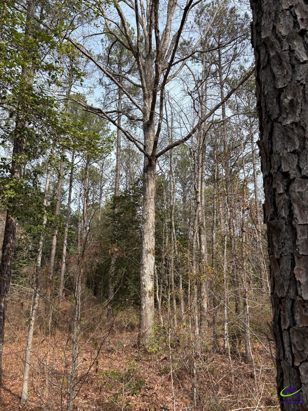 1351 Dixon Road Roberta, GA 31078 - Photo 19 of 26