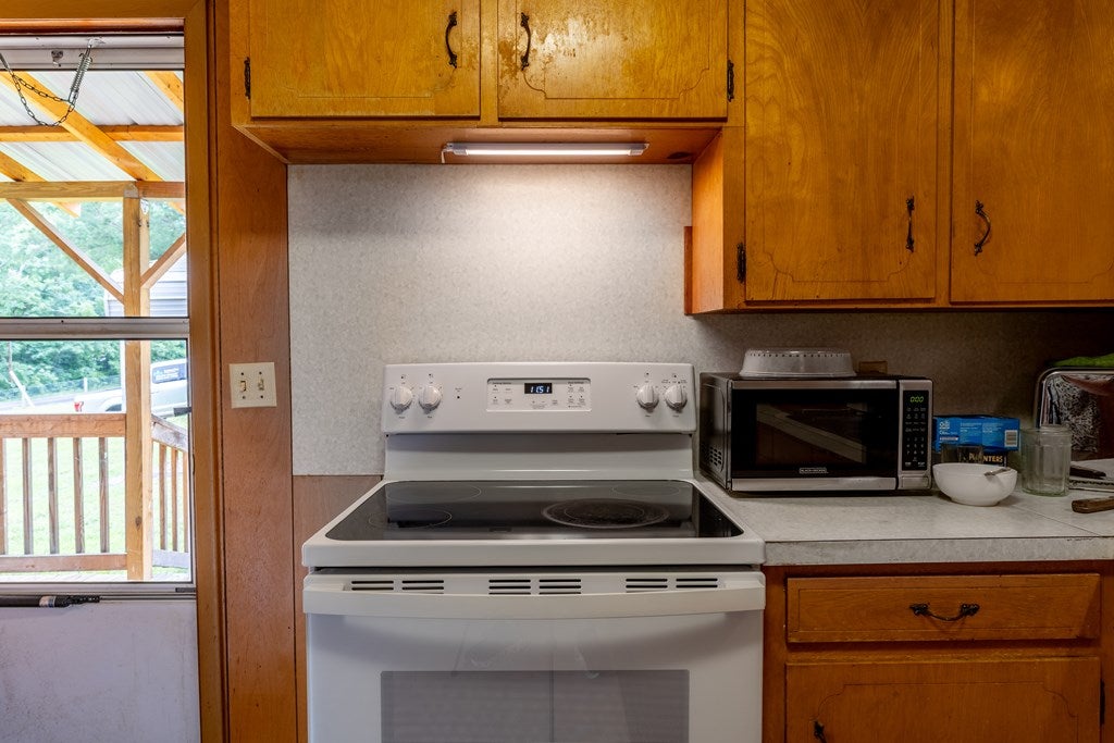 11393 Skipwith Road Chase City, VA 23924 - Photo 12 of 54 Gallery Image 12