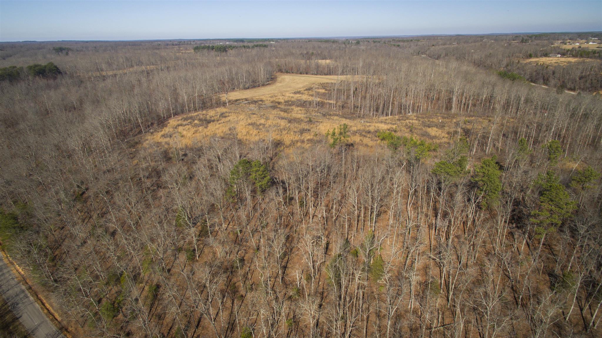 81 ACRES OF TIMBER