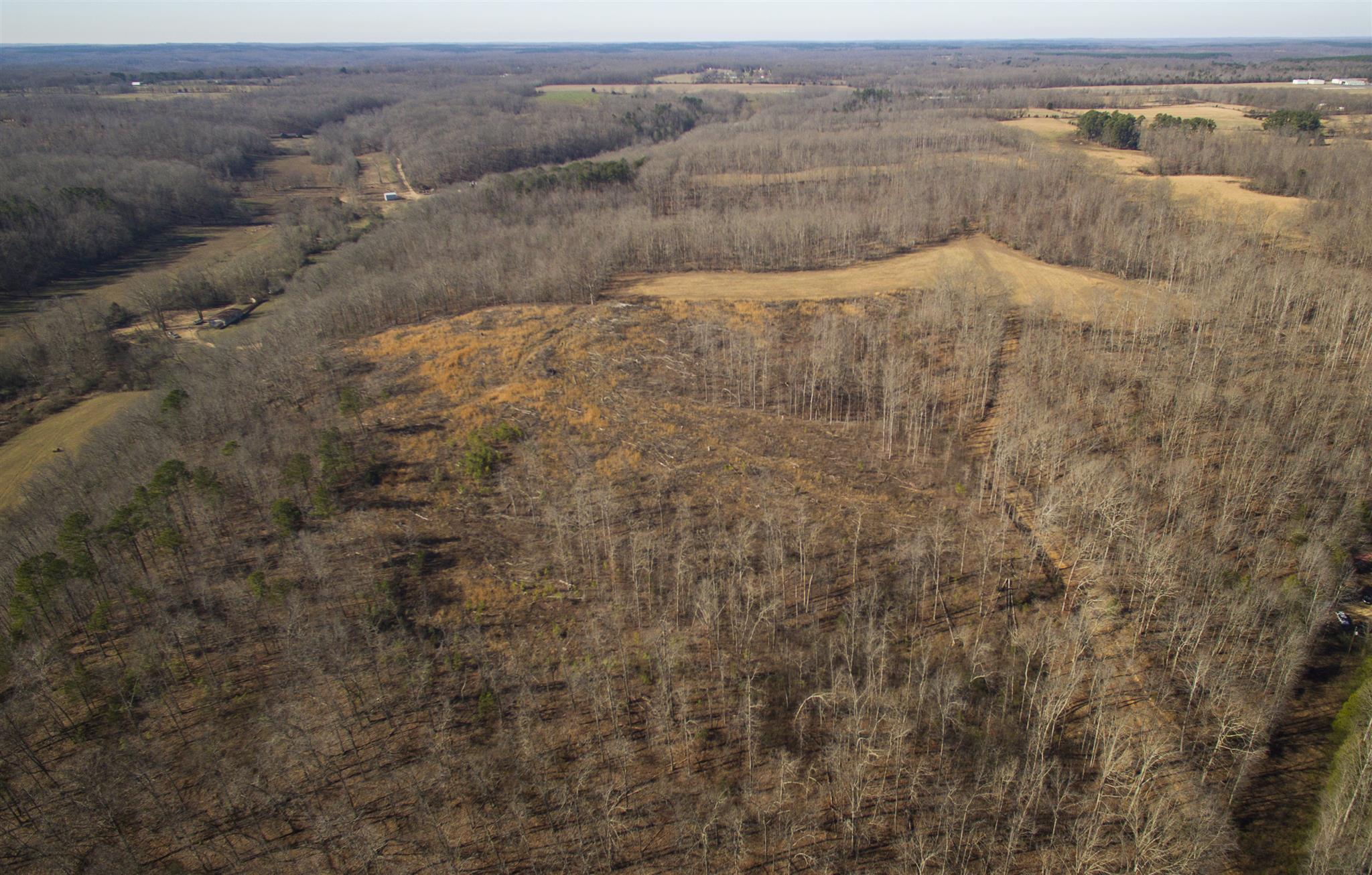 0 Wildcat Branch Road Hohenwald, TN 38462 - Photo 8 of 8 400 FEET OF COUNTY ROAD FRONTAGE