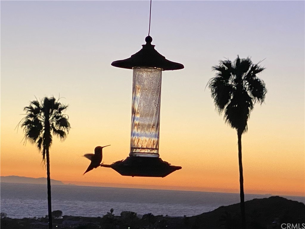 1016 Emerald Bay Laguna Beach, CA 92651 - Photo 28 of 37