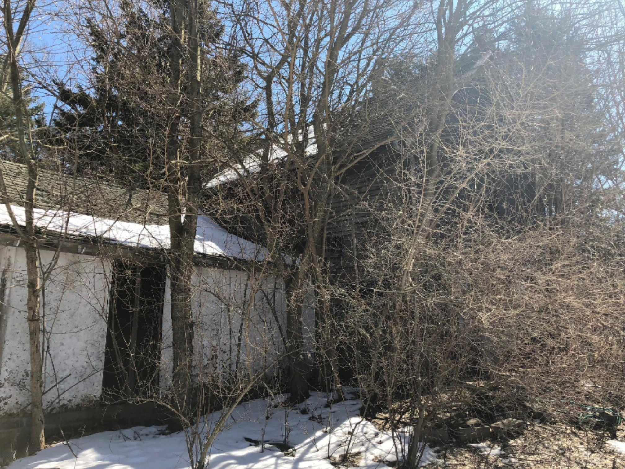 5196 Archer Road Brethren, MI 49619 - Photo 6 of 24 IMG_0307
