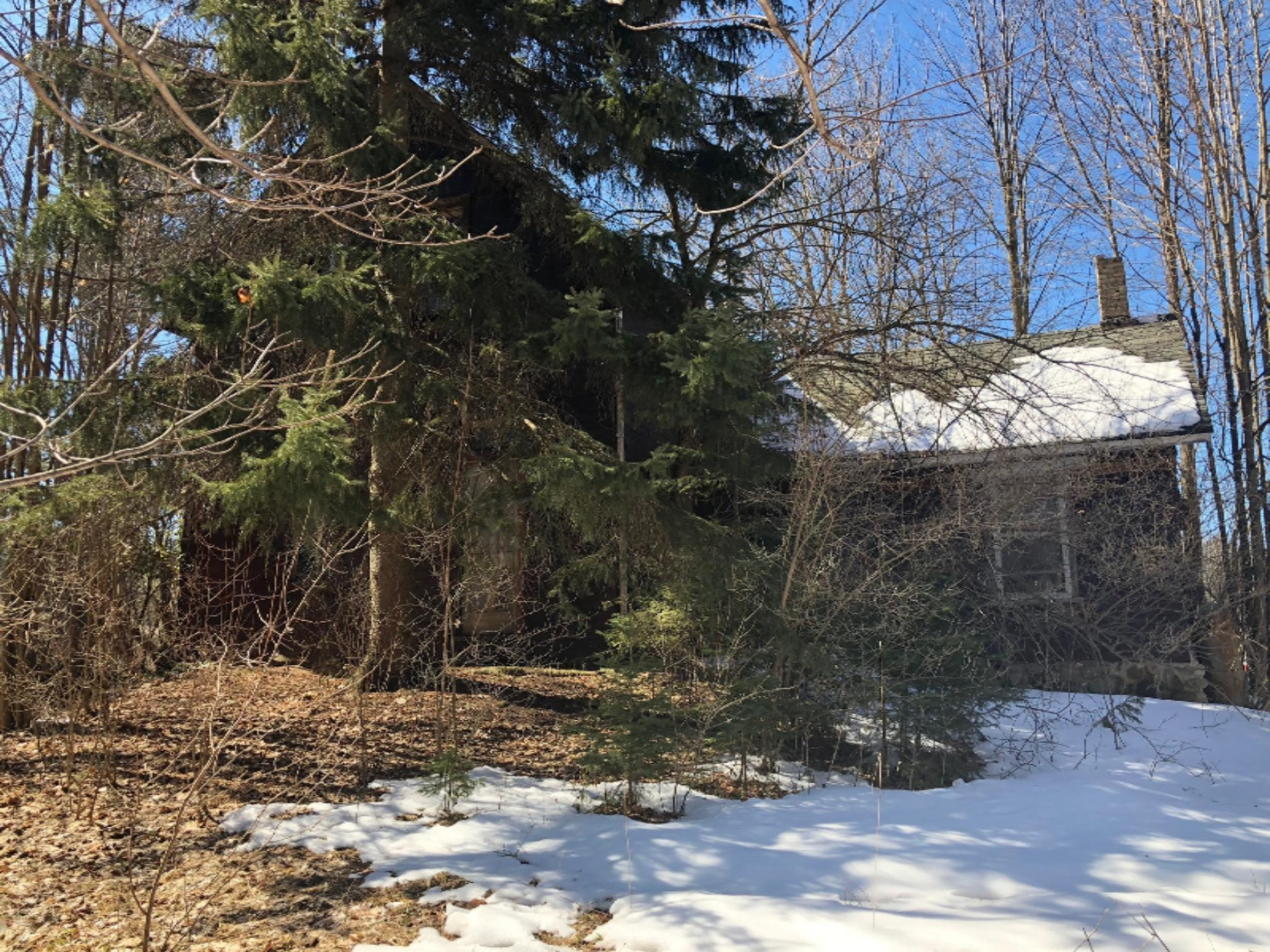 5196 Archer Road Brethren, MI 49619 - Photo 7 of 24 IMG_0308