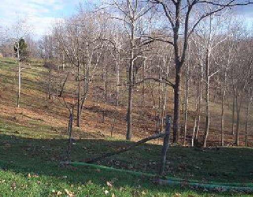 1756 Saunders Road Vinton, VA 24179 - Photo 3 of 3 a view of a backyard