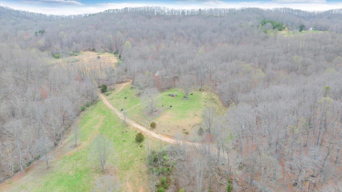 7415 Clear Fork Creek Road Bastian, VA 24314 - Photo 101 of 117 088-DJI_20240410132058_0015_D_MIB