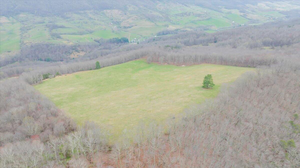 7415 Clear Fork Creek Road Bastian, VA 24314 - Photo 103 of 117 091-DJI_20240410133632_0019_D_MIB