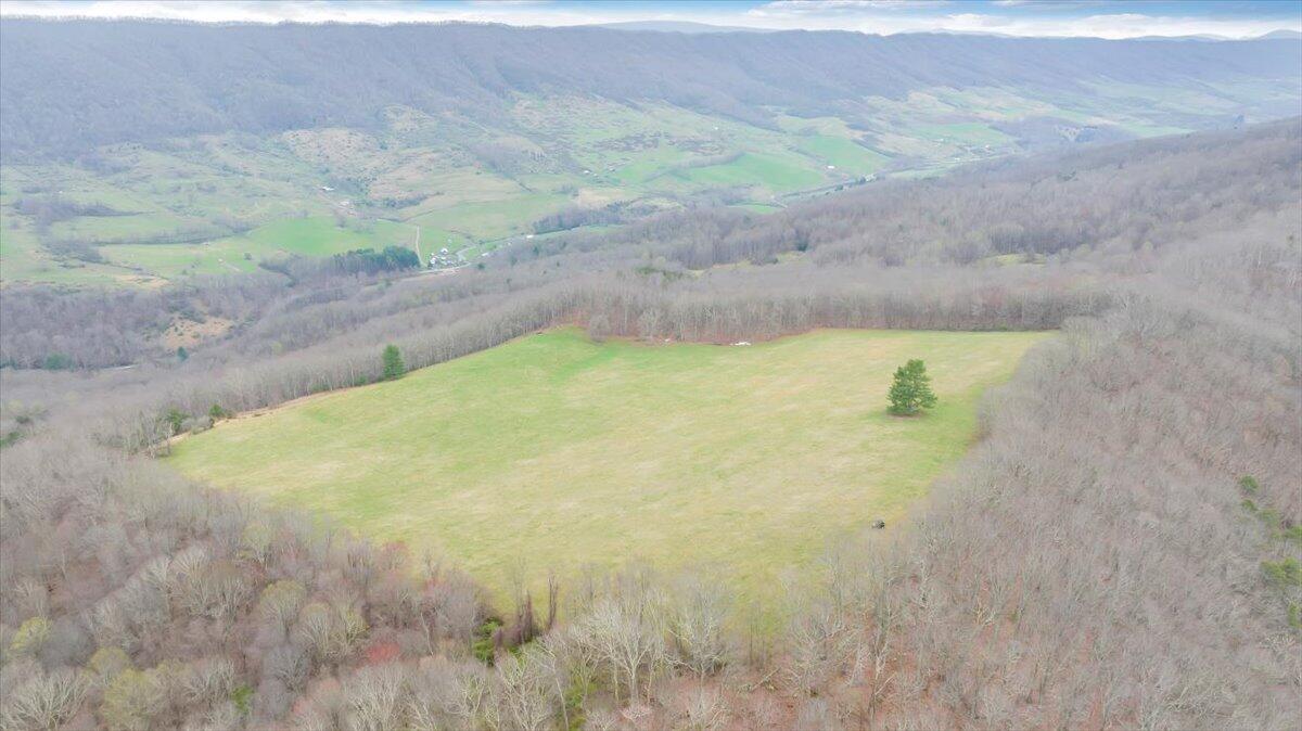 7415 Clear Fork Creek Road Bastian, VA 24314 - Photo 104 of 117 092-DJI_20240410133649_0020_D_MIB